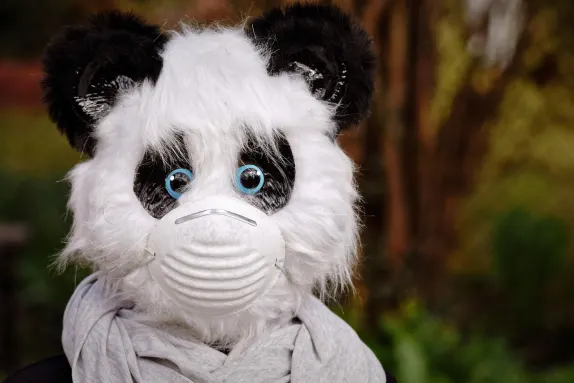 Casino Volcano Bingo Tacaíocht